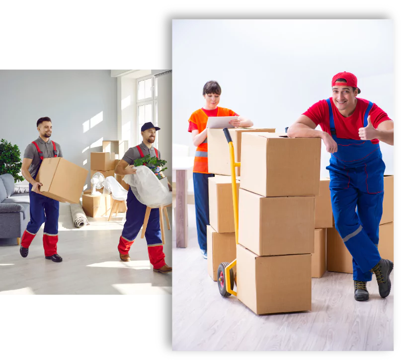 Furniture removals Stanthorpe team